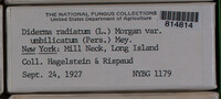 Image Associated With the Occurence